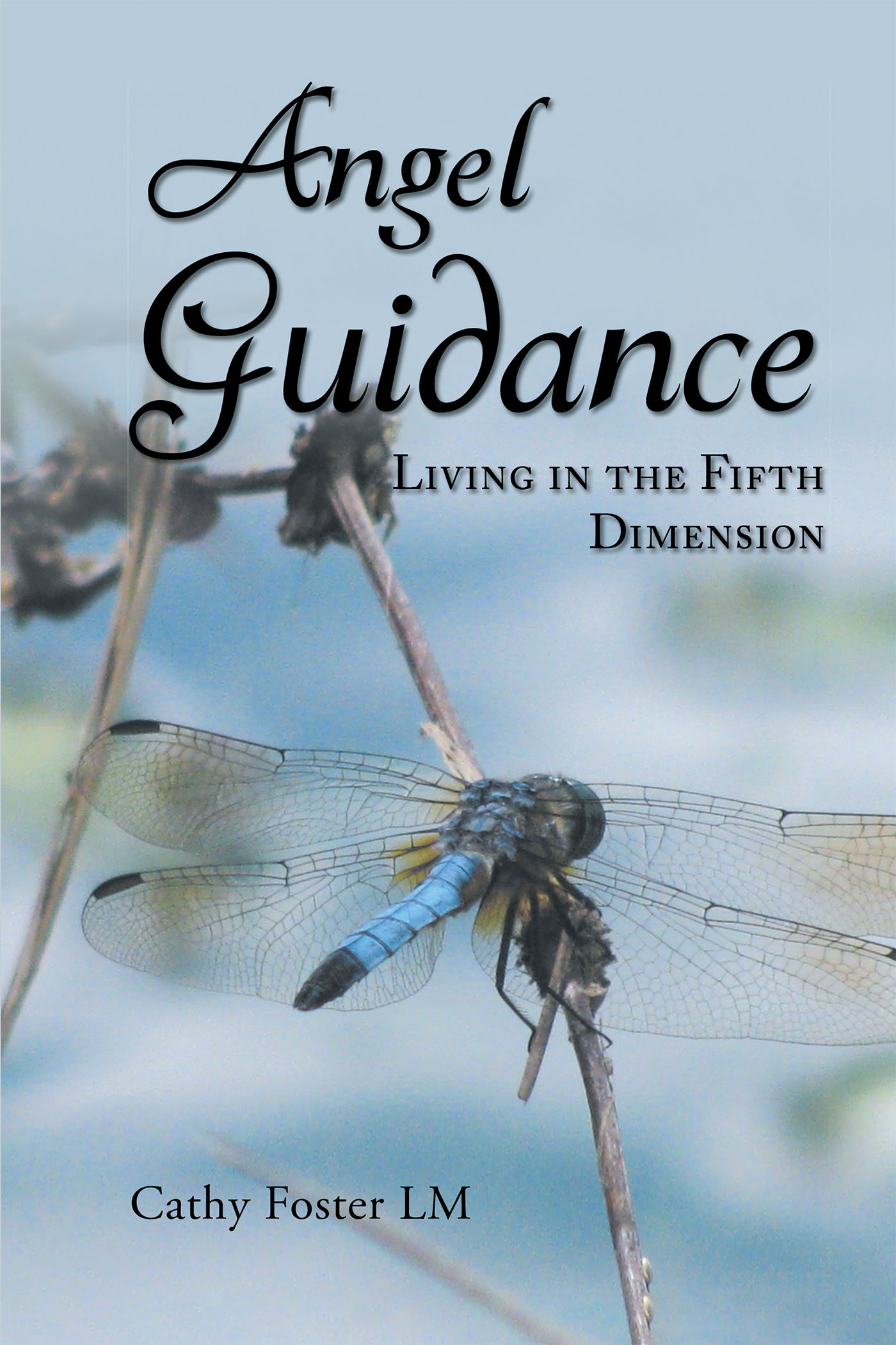 Angel Guidance Cover Image