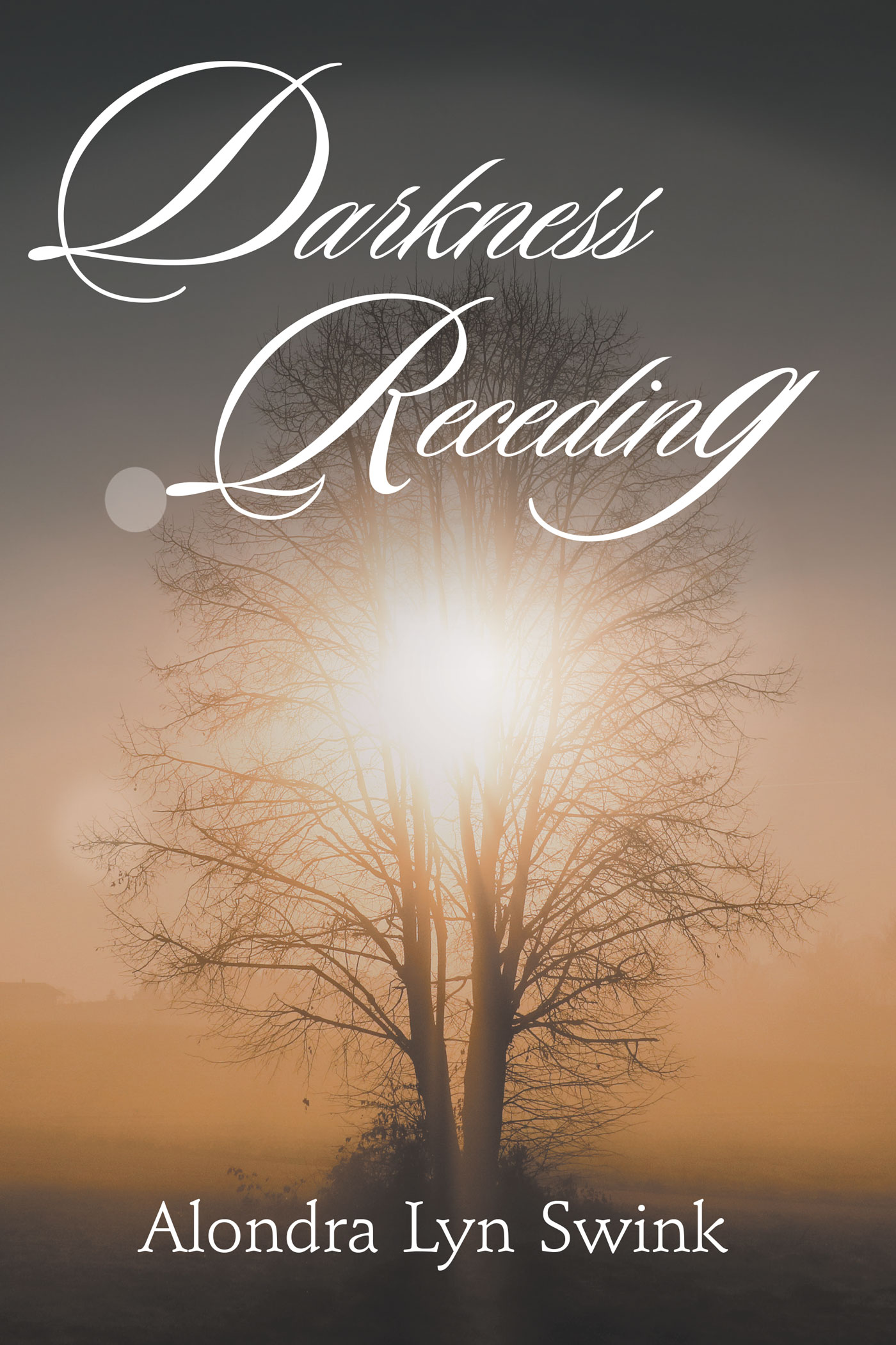 Darkness Receding Cover Image