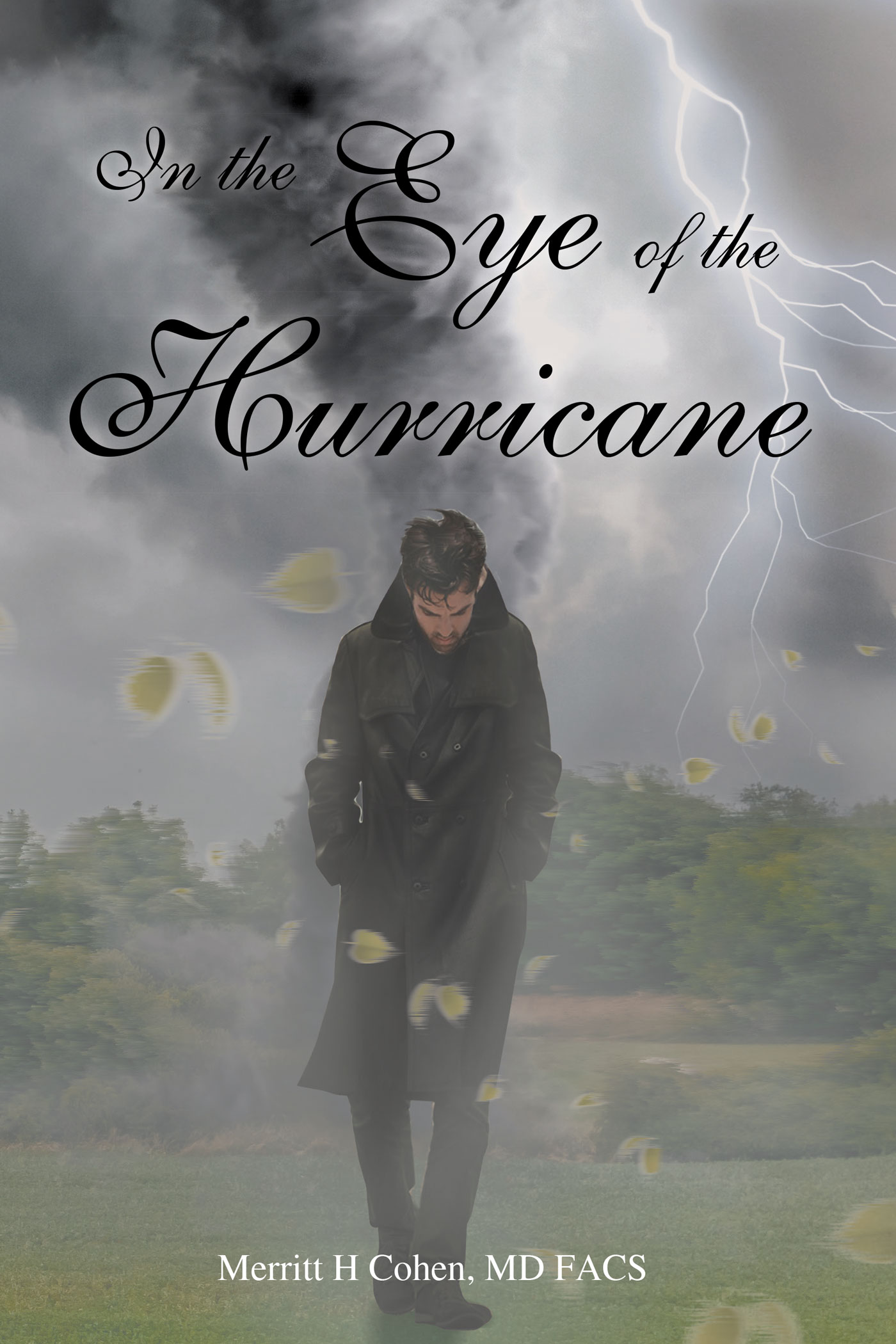 In the Eye of the Hurricane Cover Image
