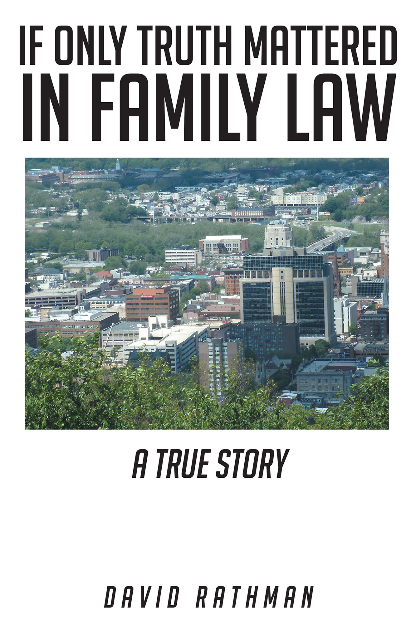 If Only Truth Mattered in Family Law Cover Image