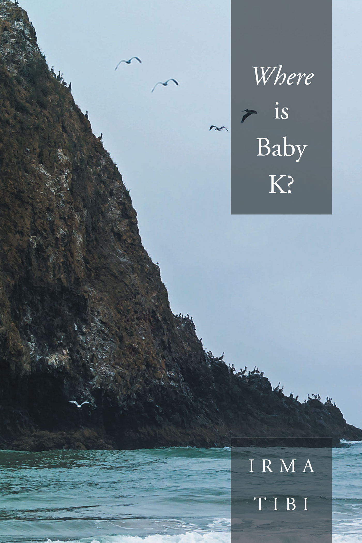 Where is Baby K? Cover Image