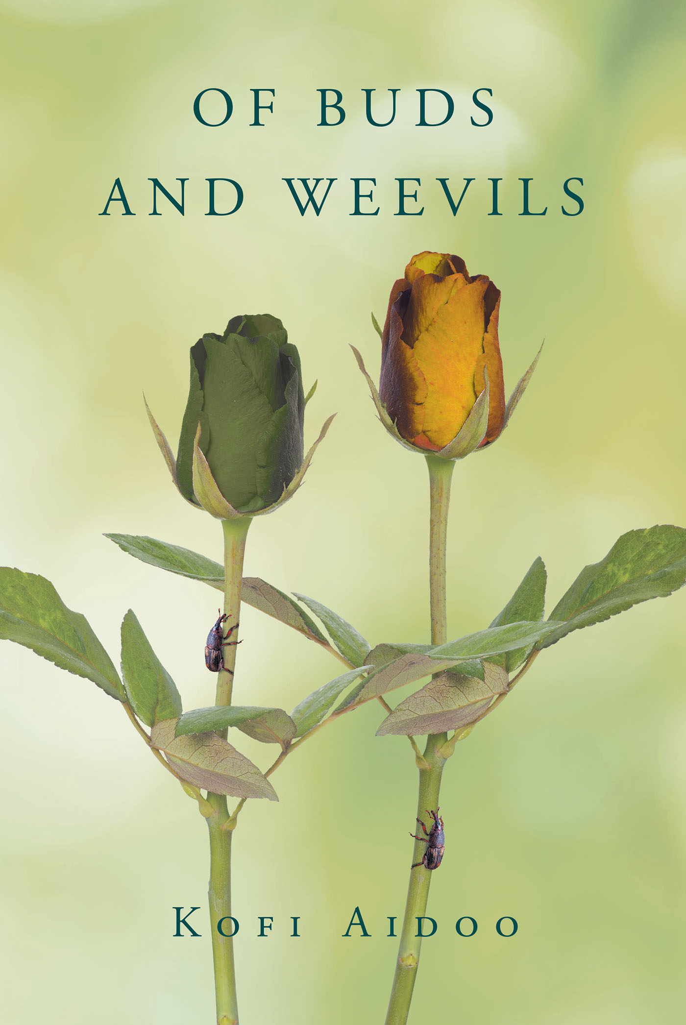 Of Buds and Weevils Cover Image