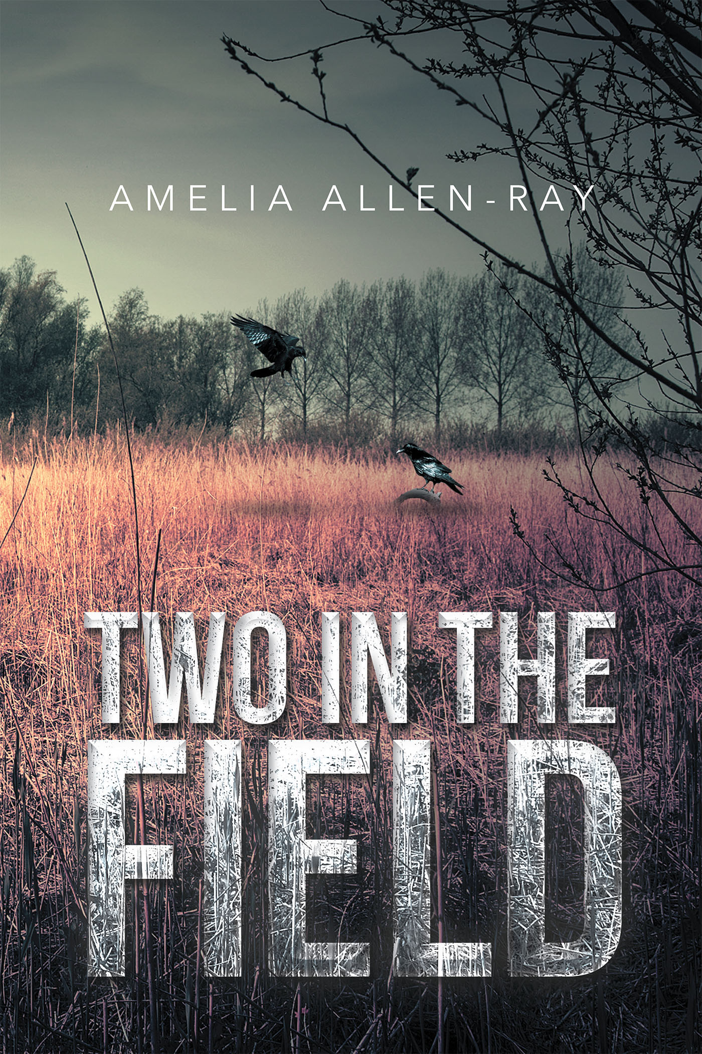 Two in the Field Cover Image