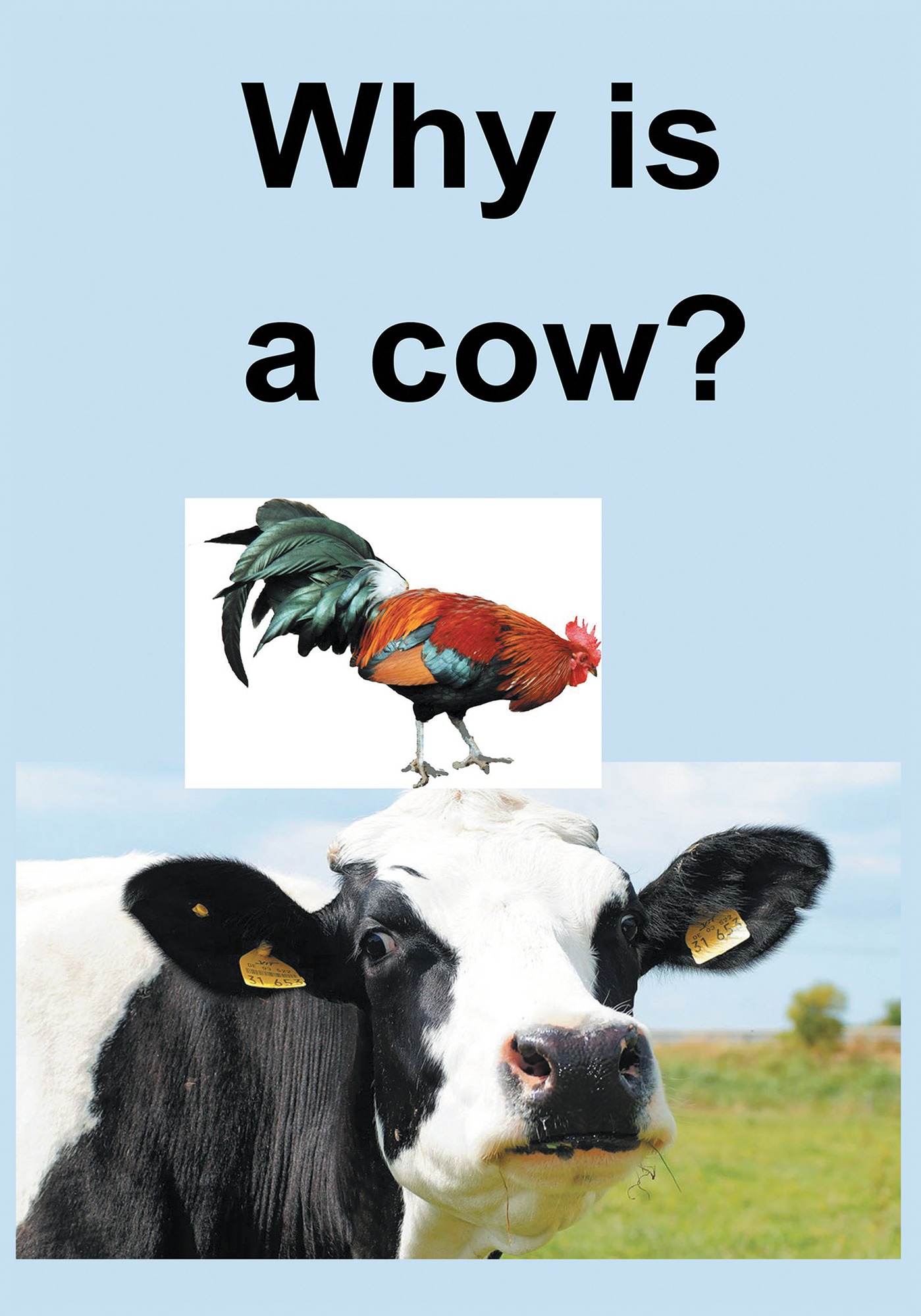 Why Is a Cow? Cover Image