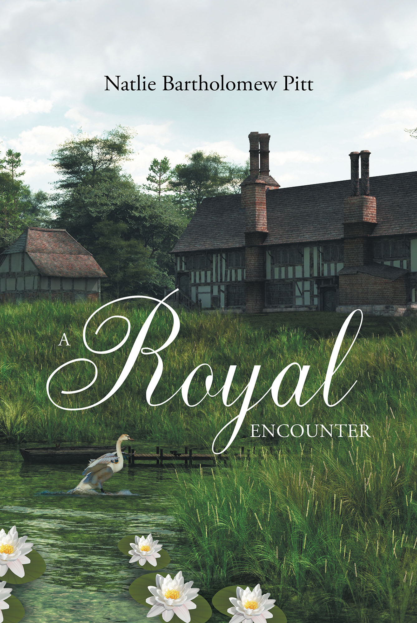 A Royal Encounter Cover Image