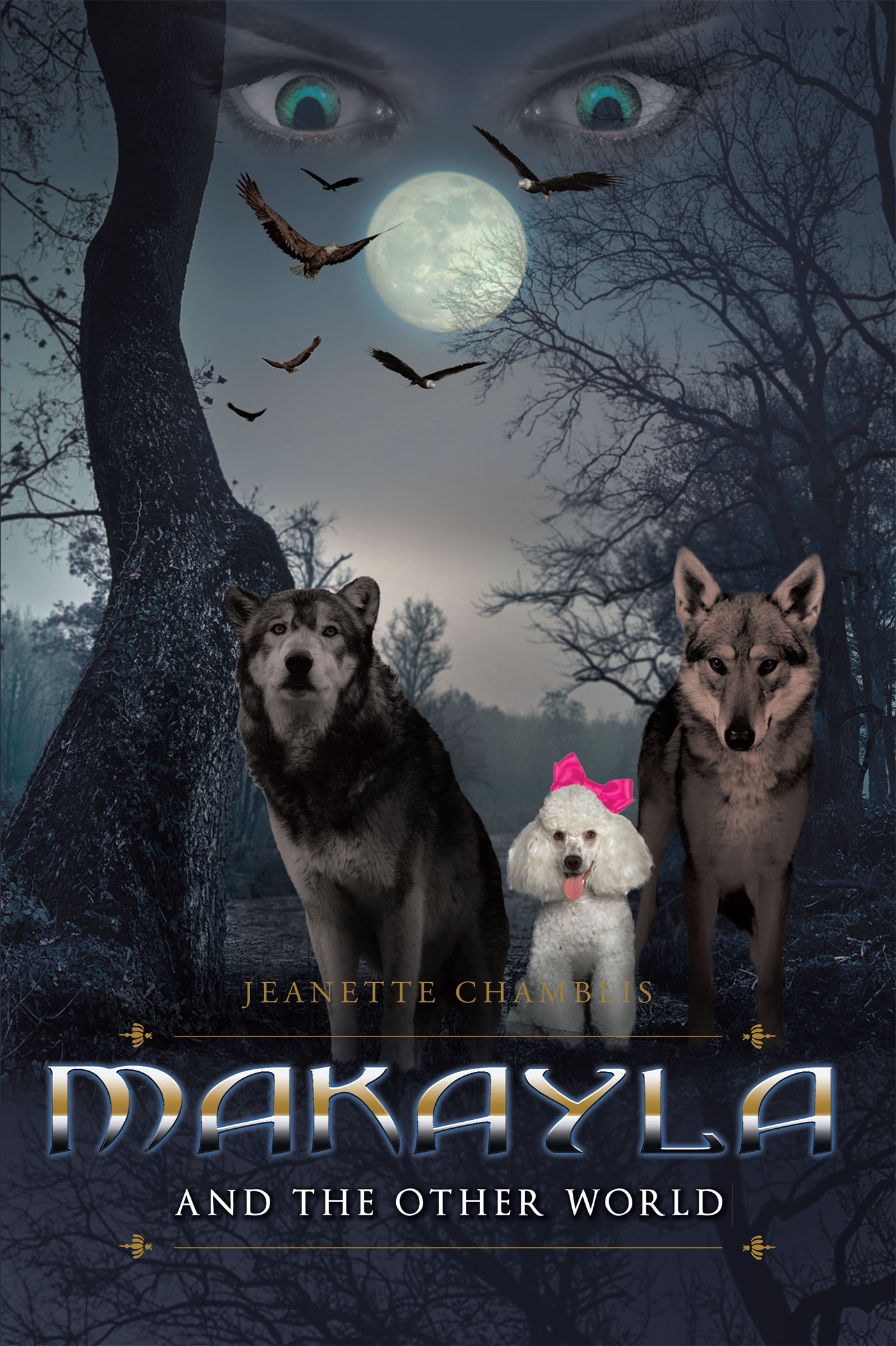 Makayla and the Other World Cover Image