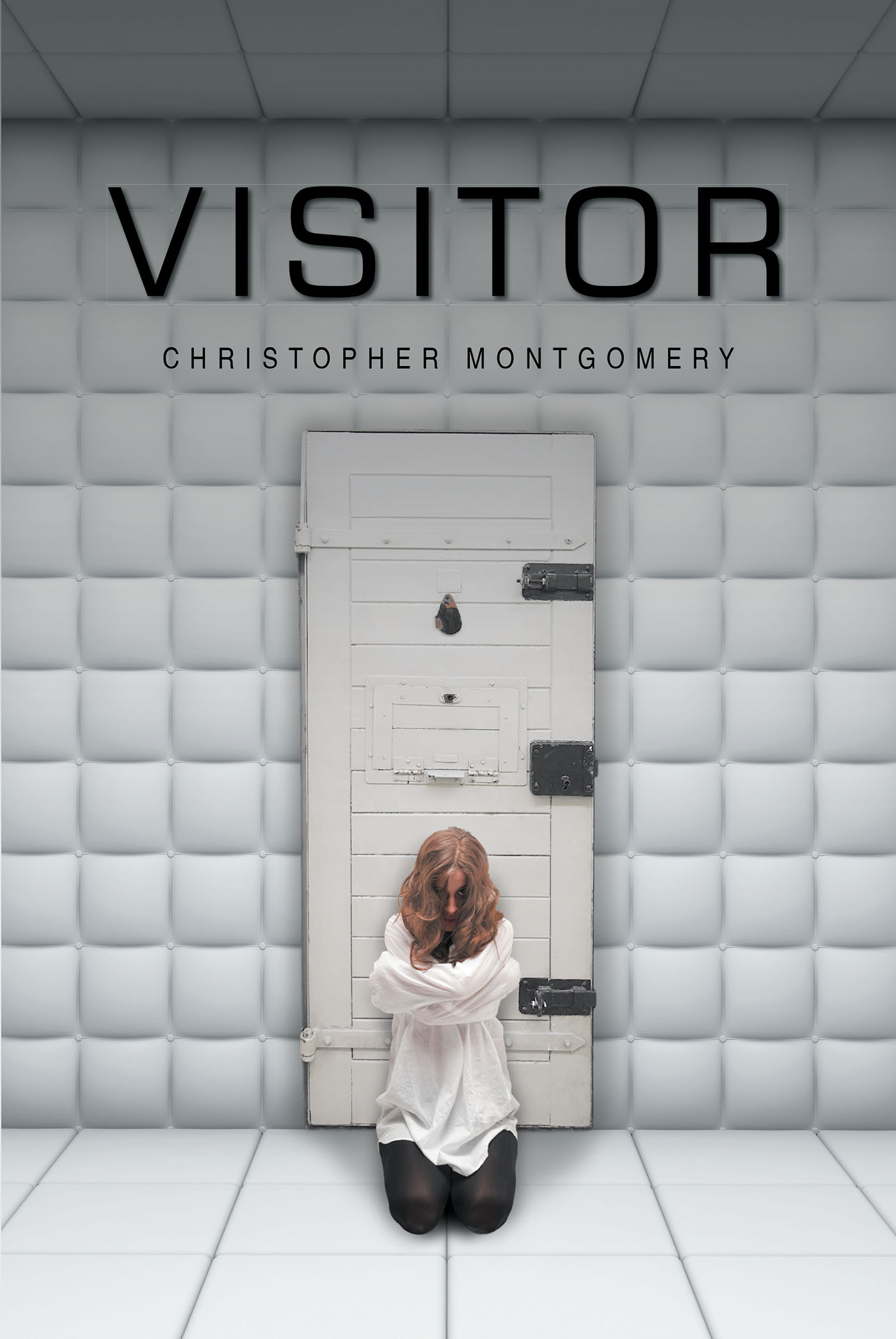 Visitor  Cover Image