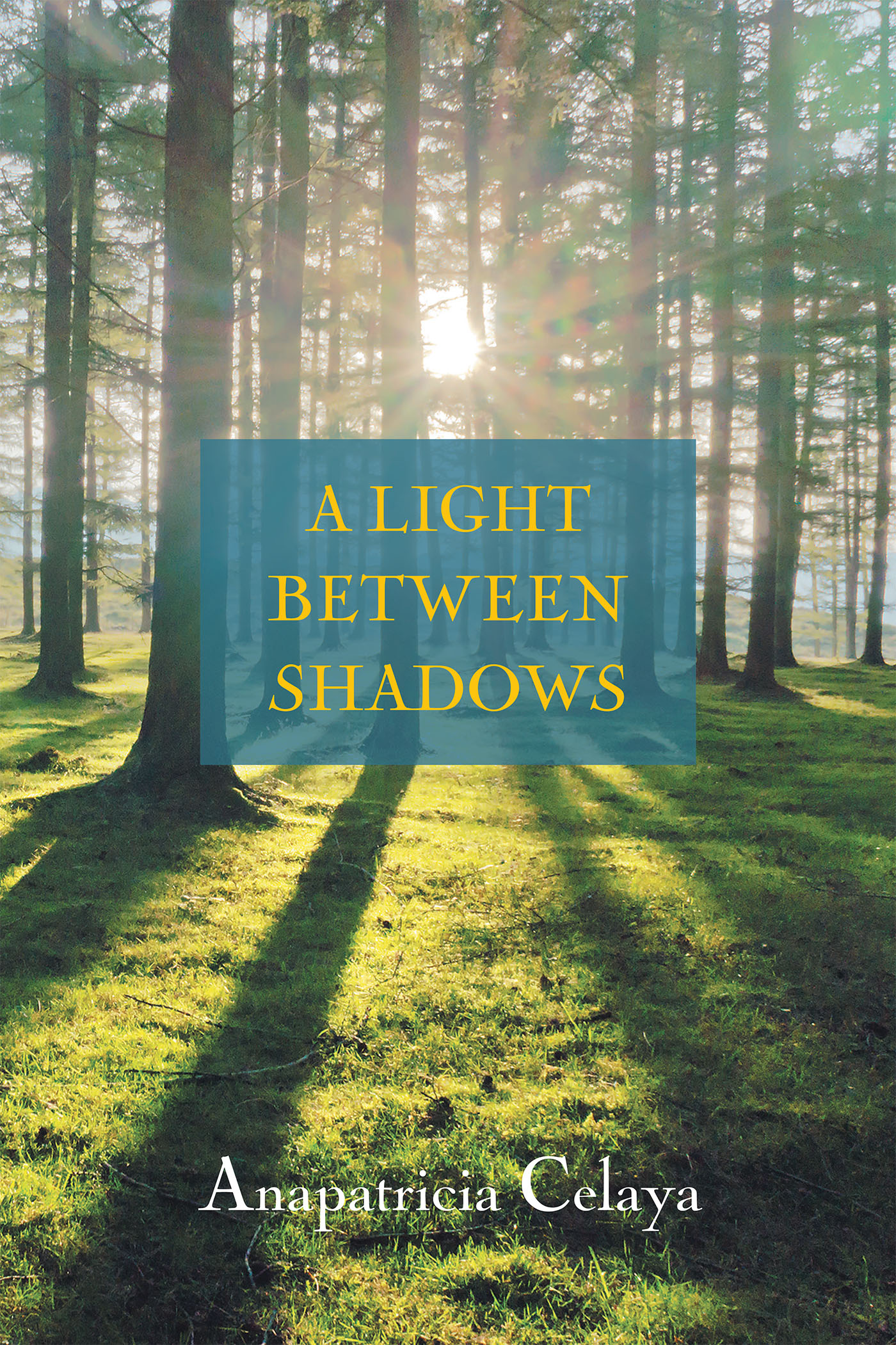  A Light between Shadows  Cover Image