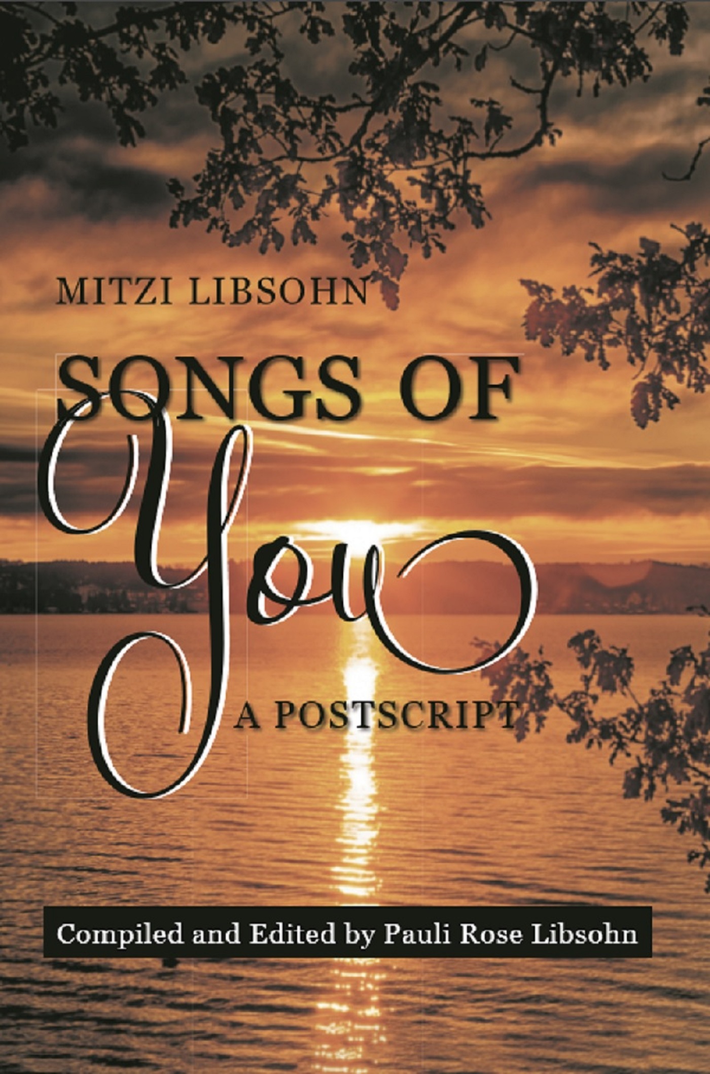 Songs of You Cover Image