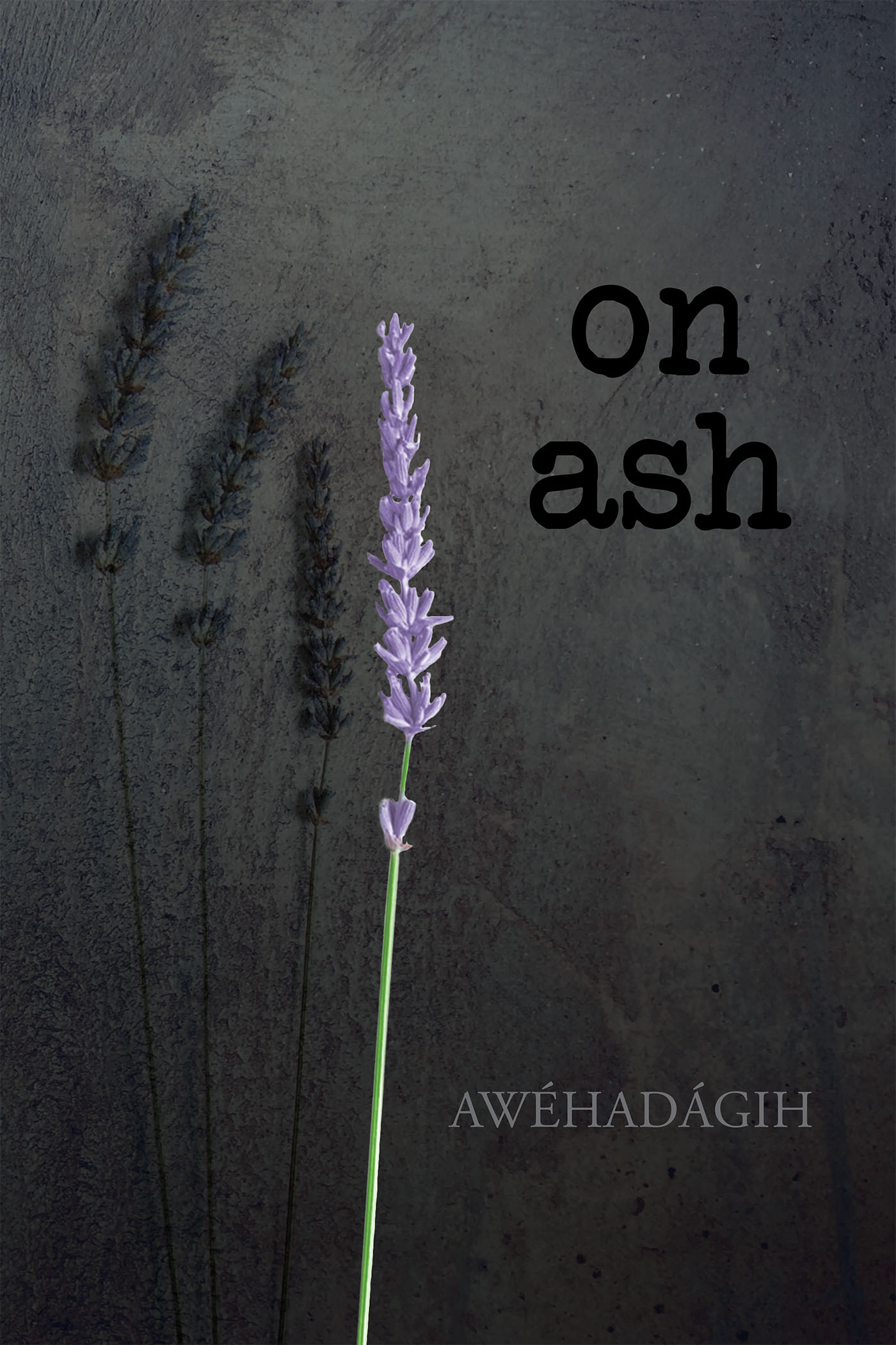On Ash Cover Image