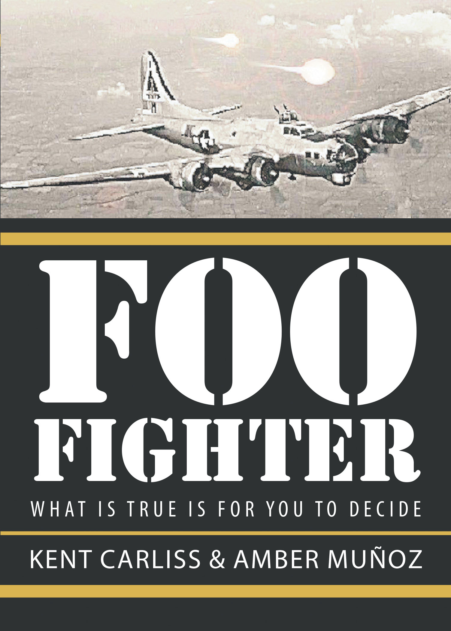 Foo Fighter Cover Image