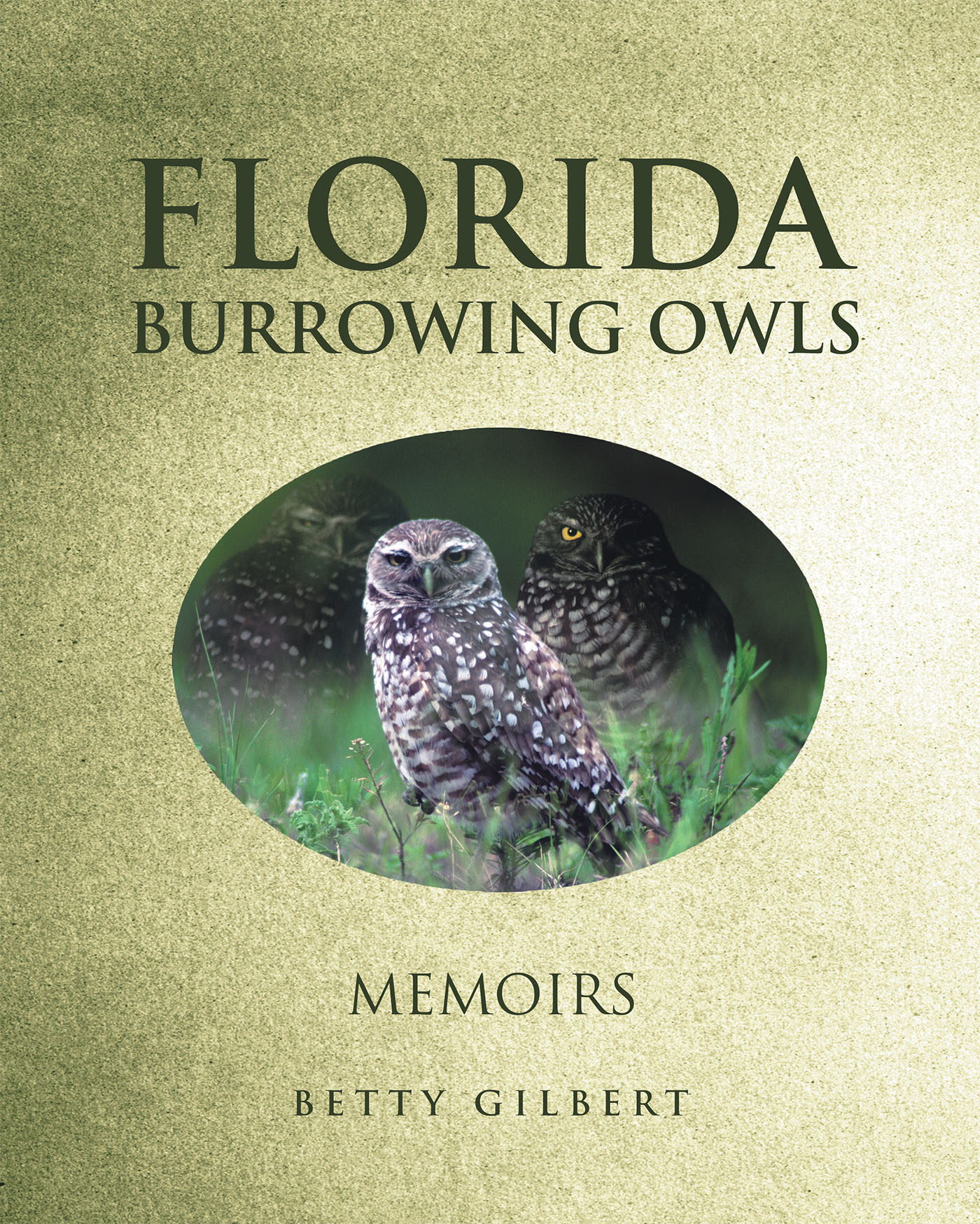 Florida Burrowing Owls Cover Image