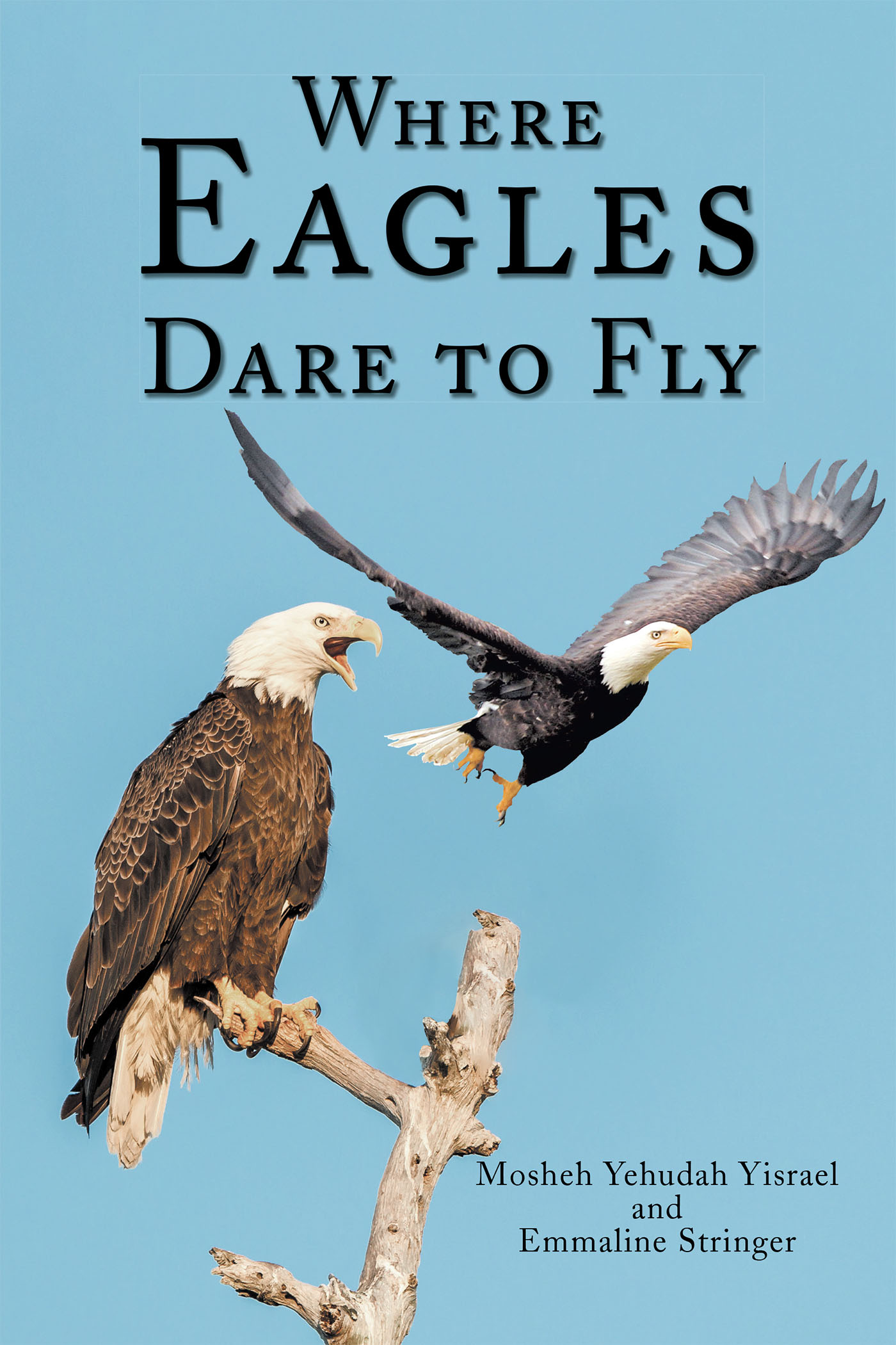 Where Eagles Dare to Fly Cover Image