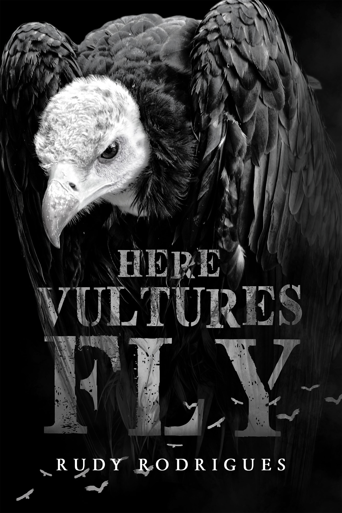 Here Vultures Fly Cover Image