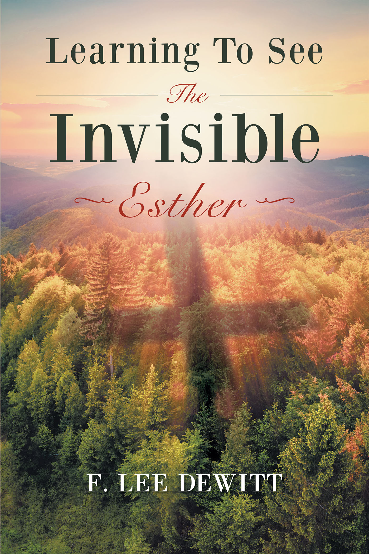 Learning to See the Invisible - Esther Cover Image