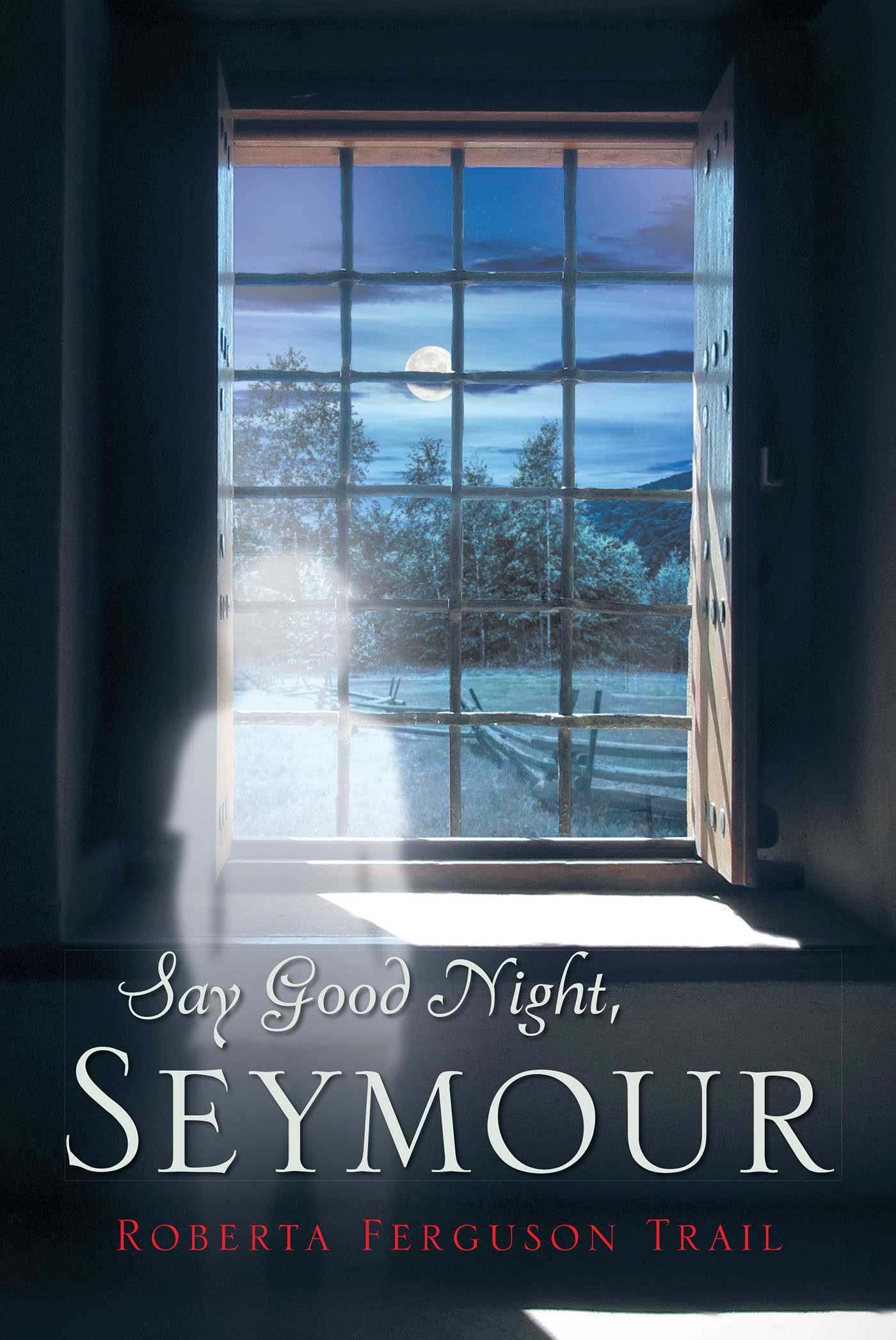 Say Good Night, Seymour Cover Image