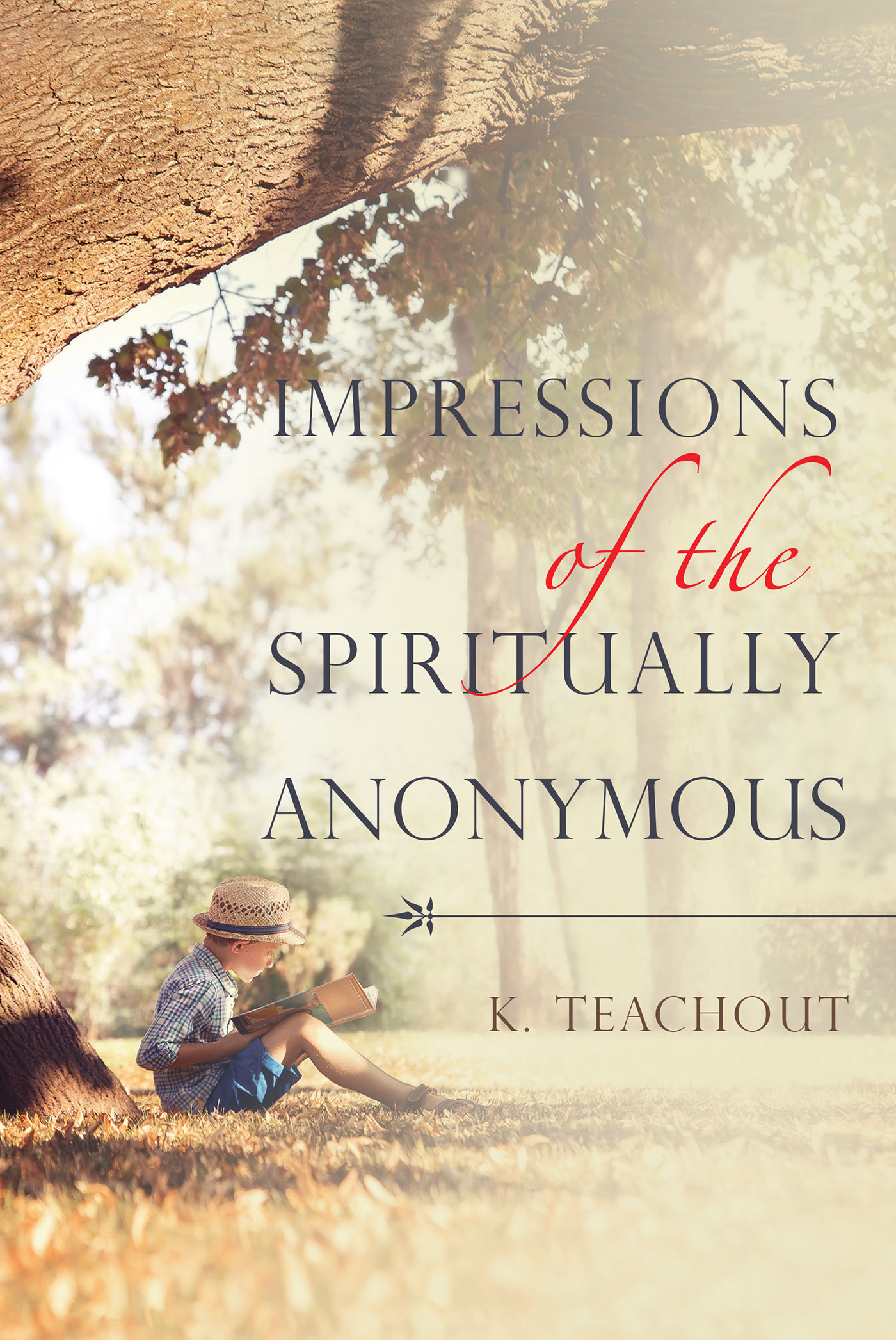 Impressions of the Spiritually Anonymous Cover Image