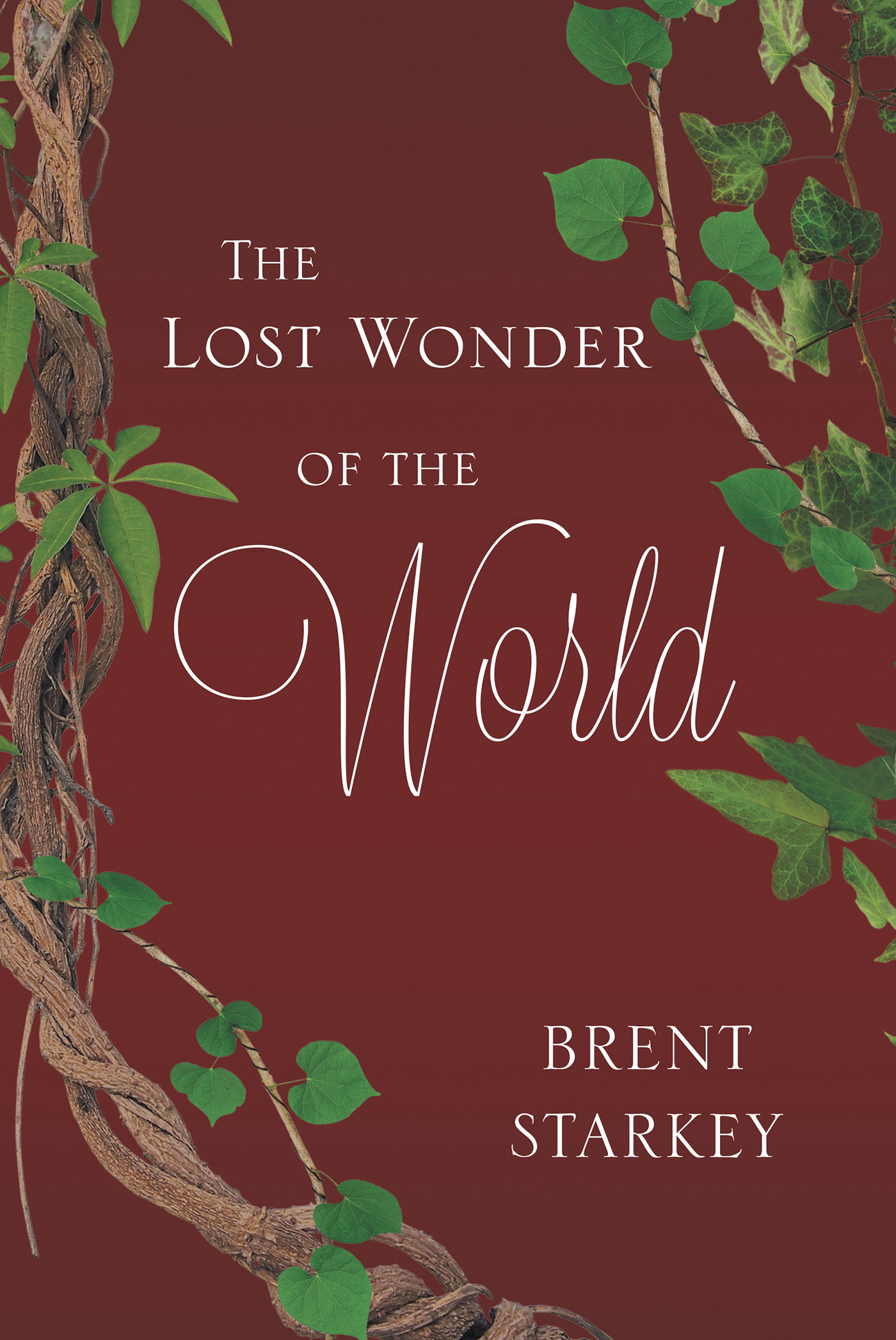 The Lost Wonder of the World Cover Image