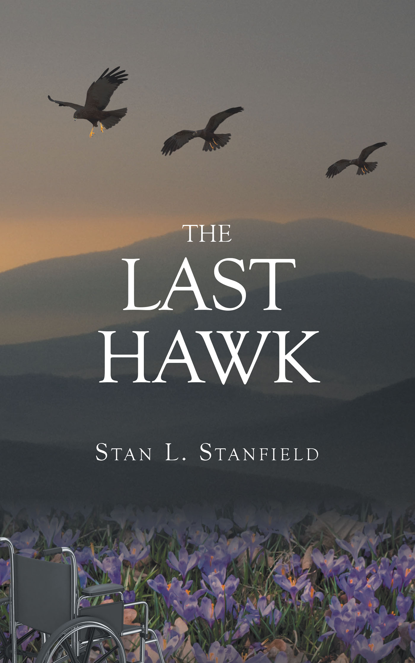 The Last Hawk Cover Image