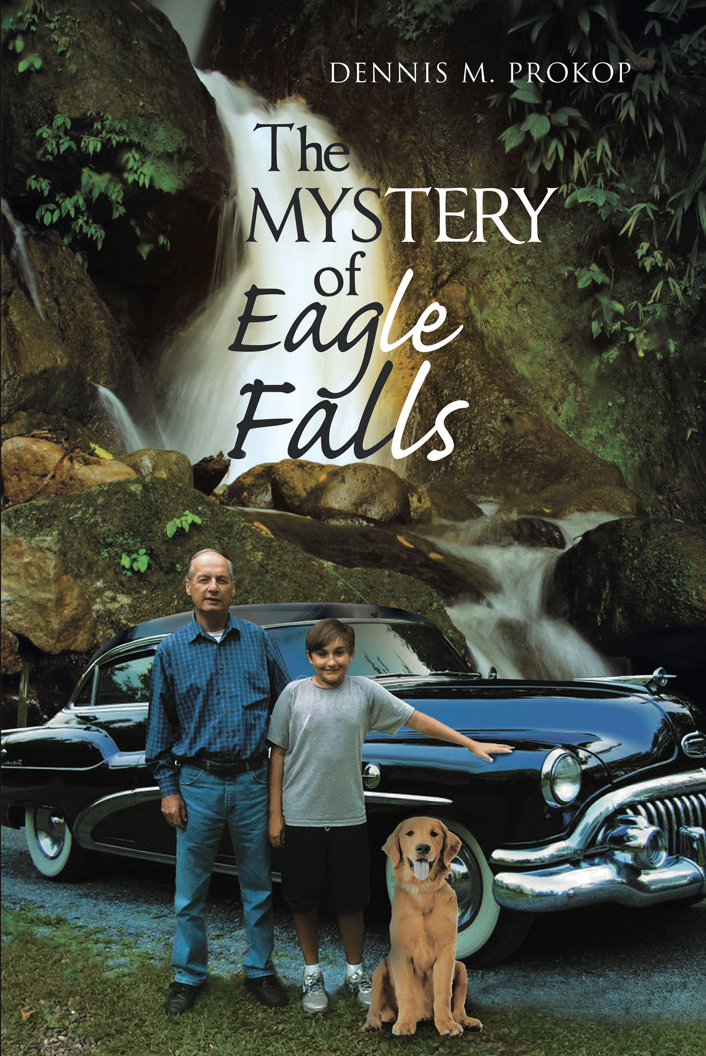 The Mystery of Eagle Falls  Cover Image