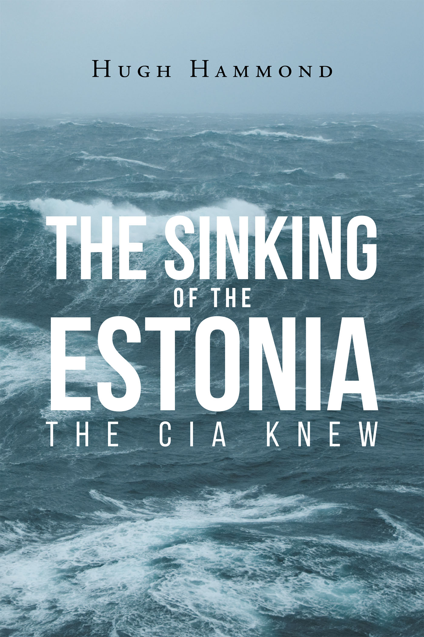 The Sinking of the Estonia Cover Image